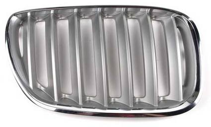 Kidney Grille - Front Passenger Side (Titanium)